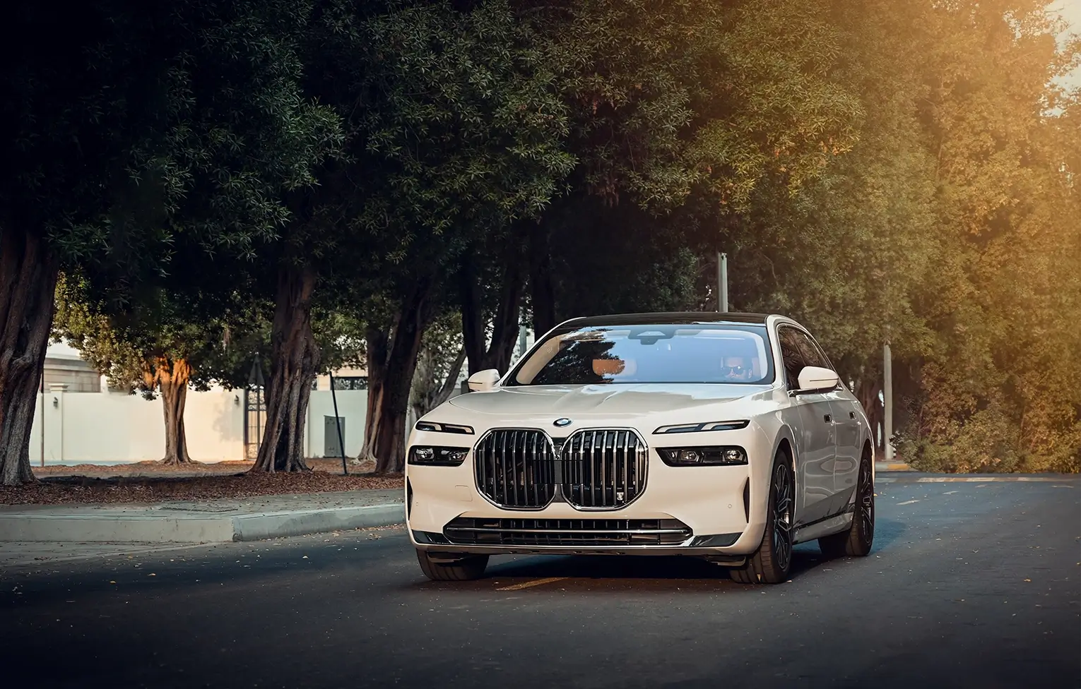 BMW 7 Series(white)